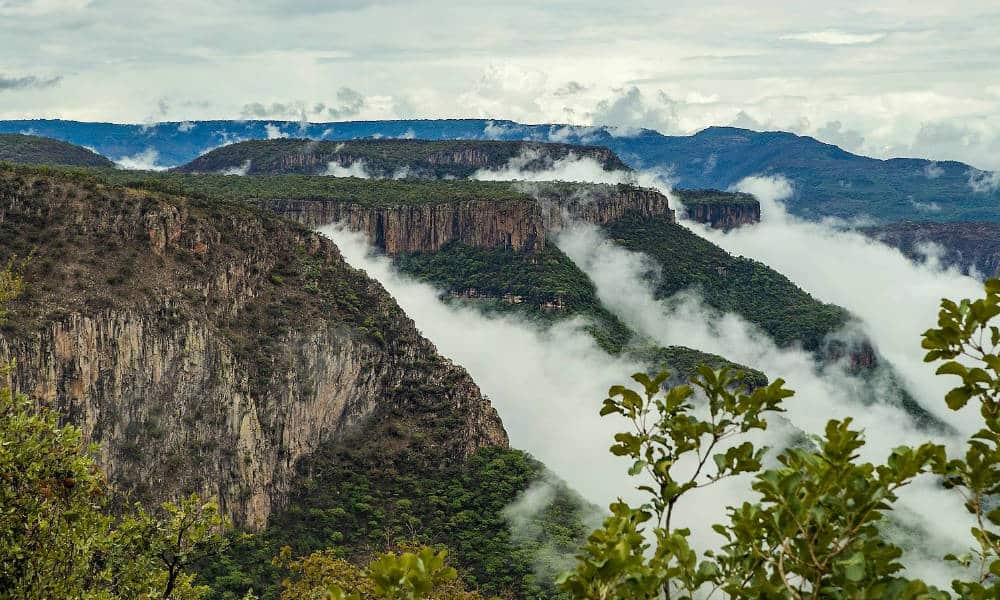 Sierra-del-Nayar-Nayarit